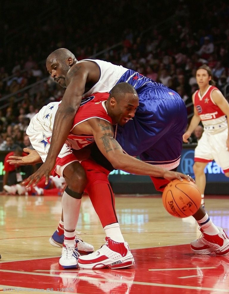 1吨-10吨茶籽油生产线